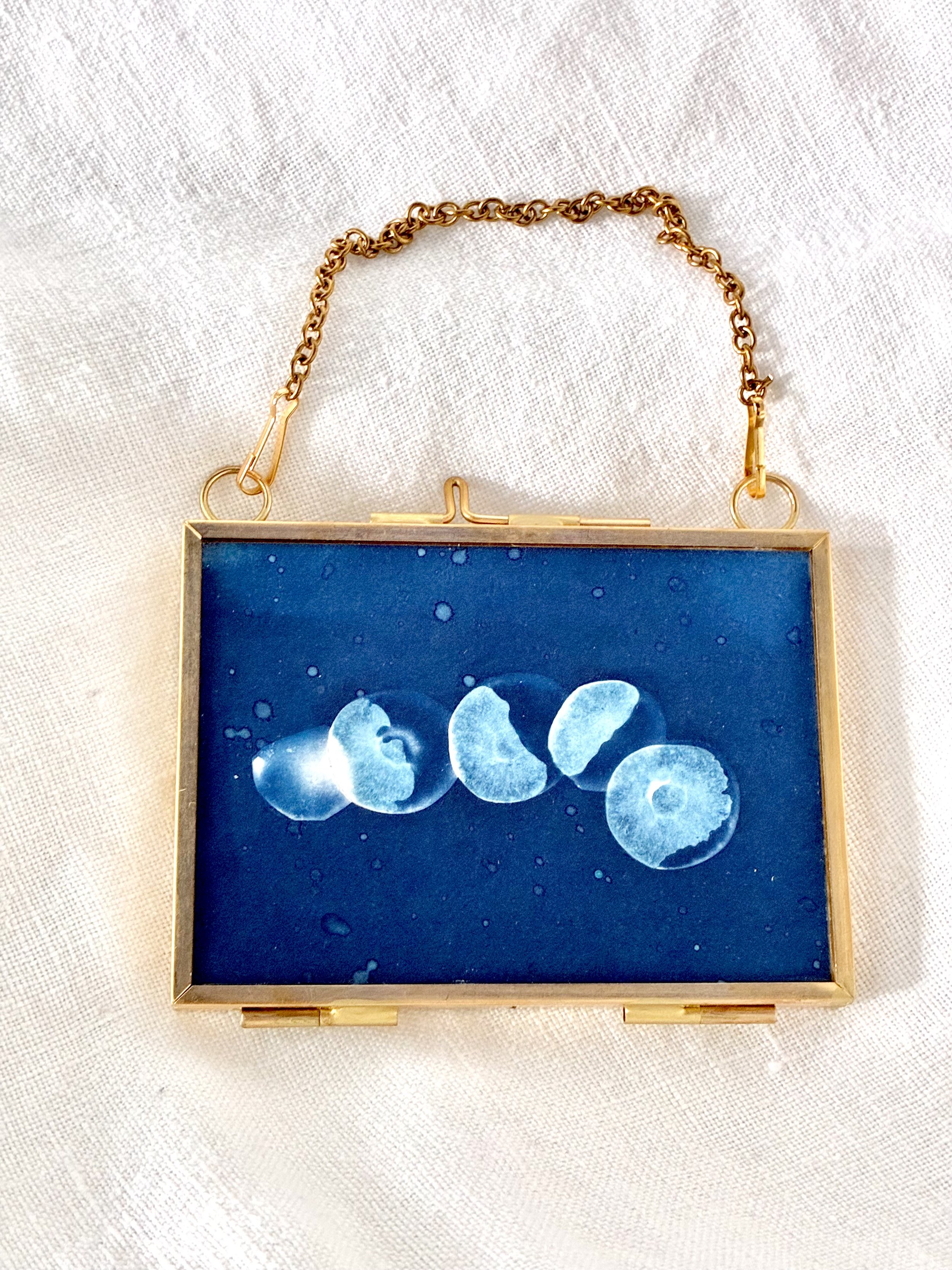 Mini Cyanotype #8