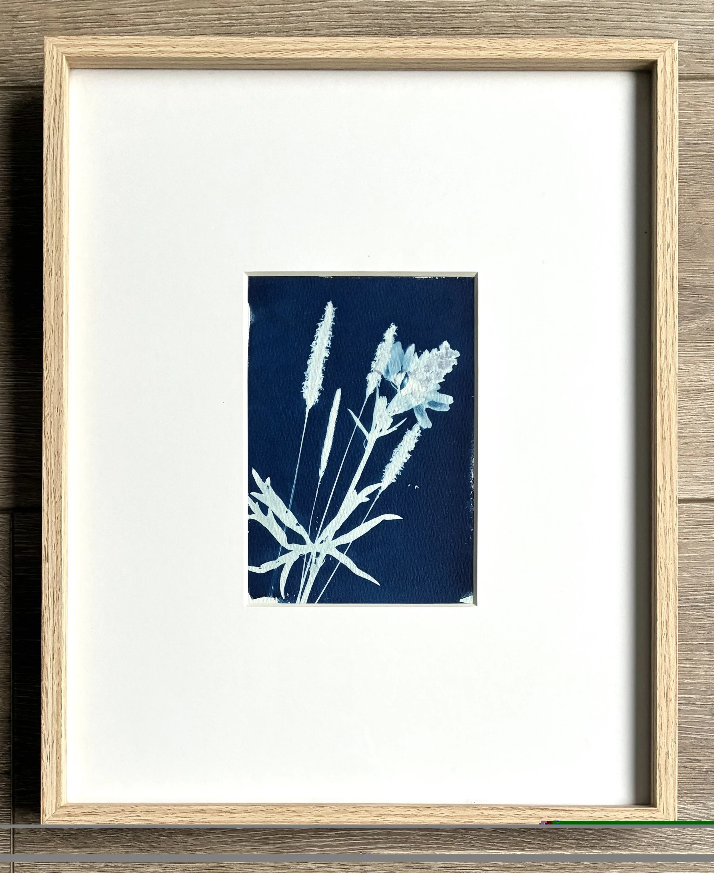 Feeling Fall Cyanotype 12