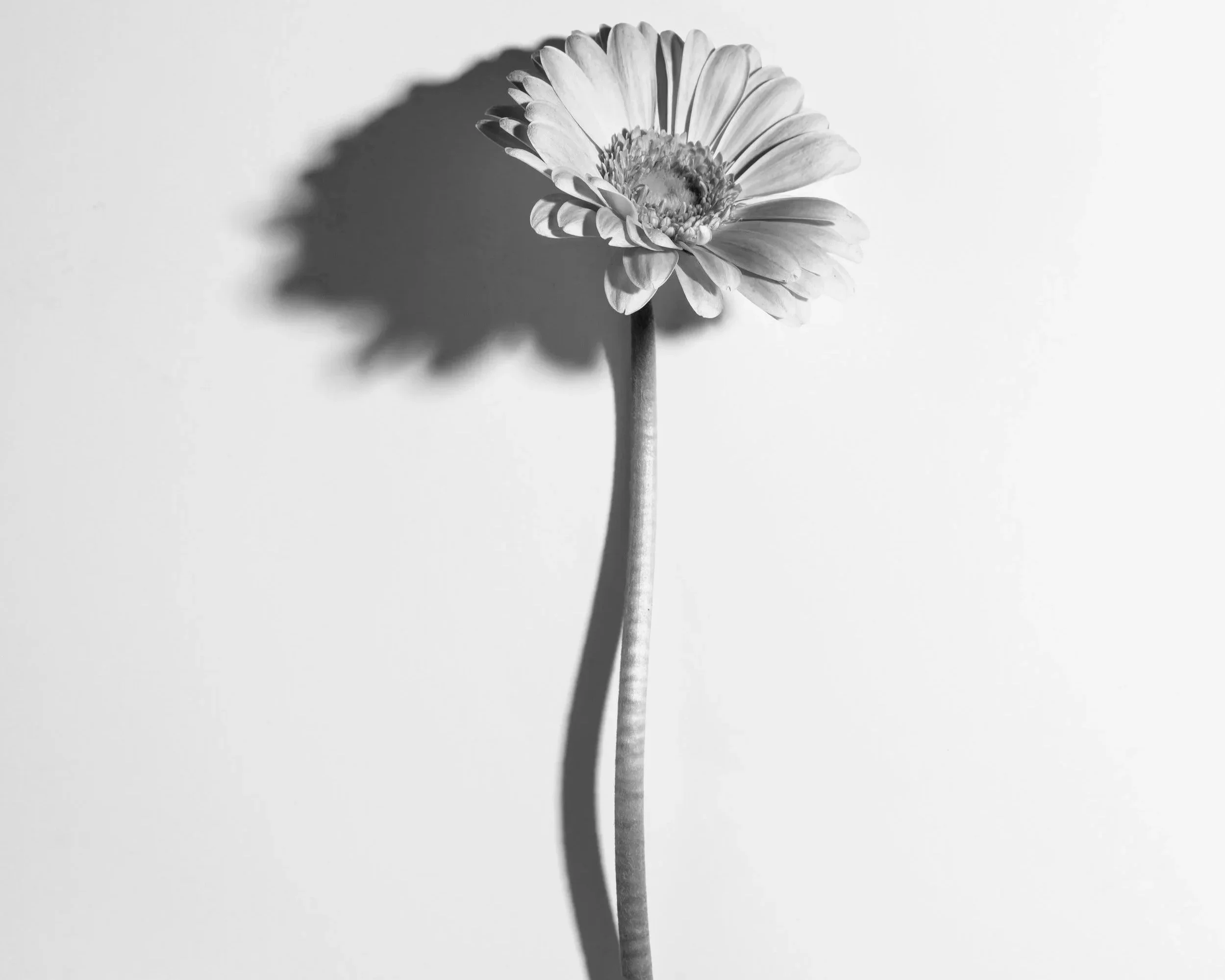 From Clutter to Minimalism