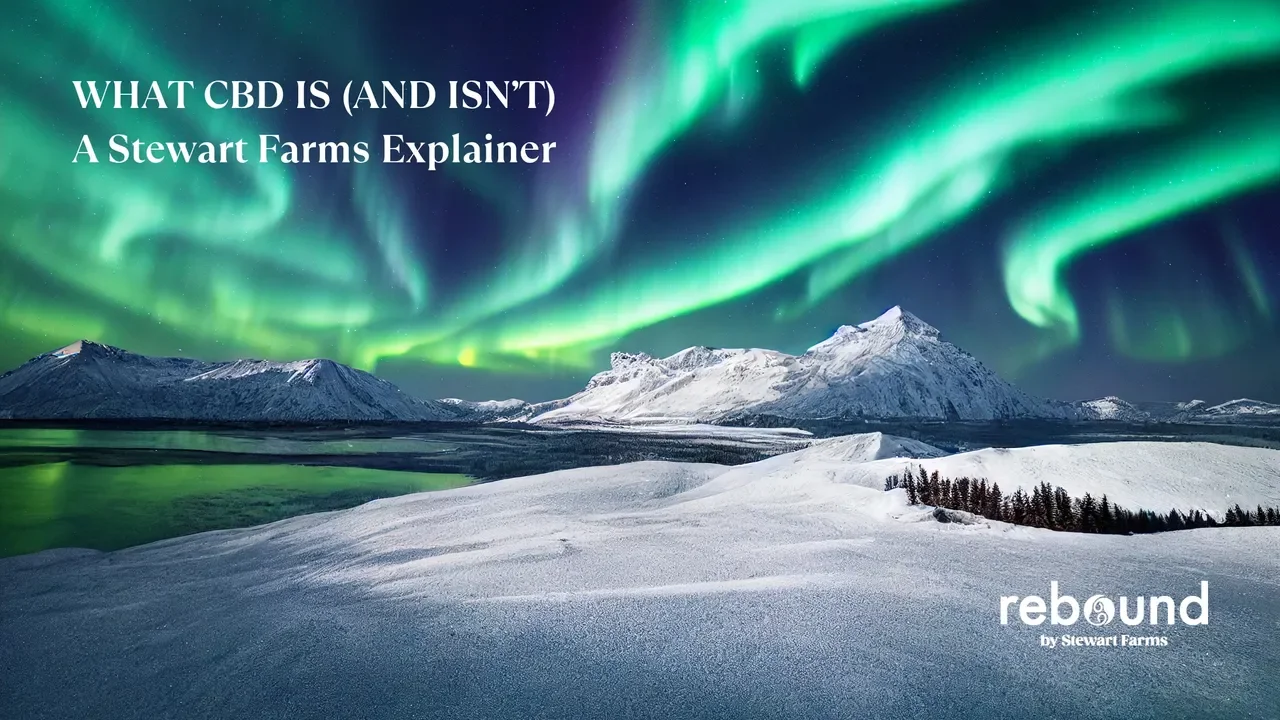 What CBD Is (and Isn’t): A Stewart Farms Explainer