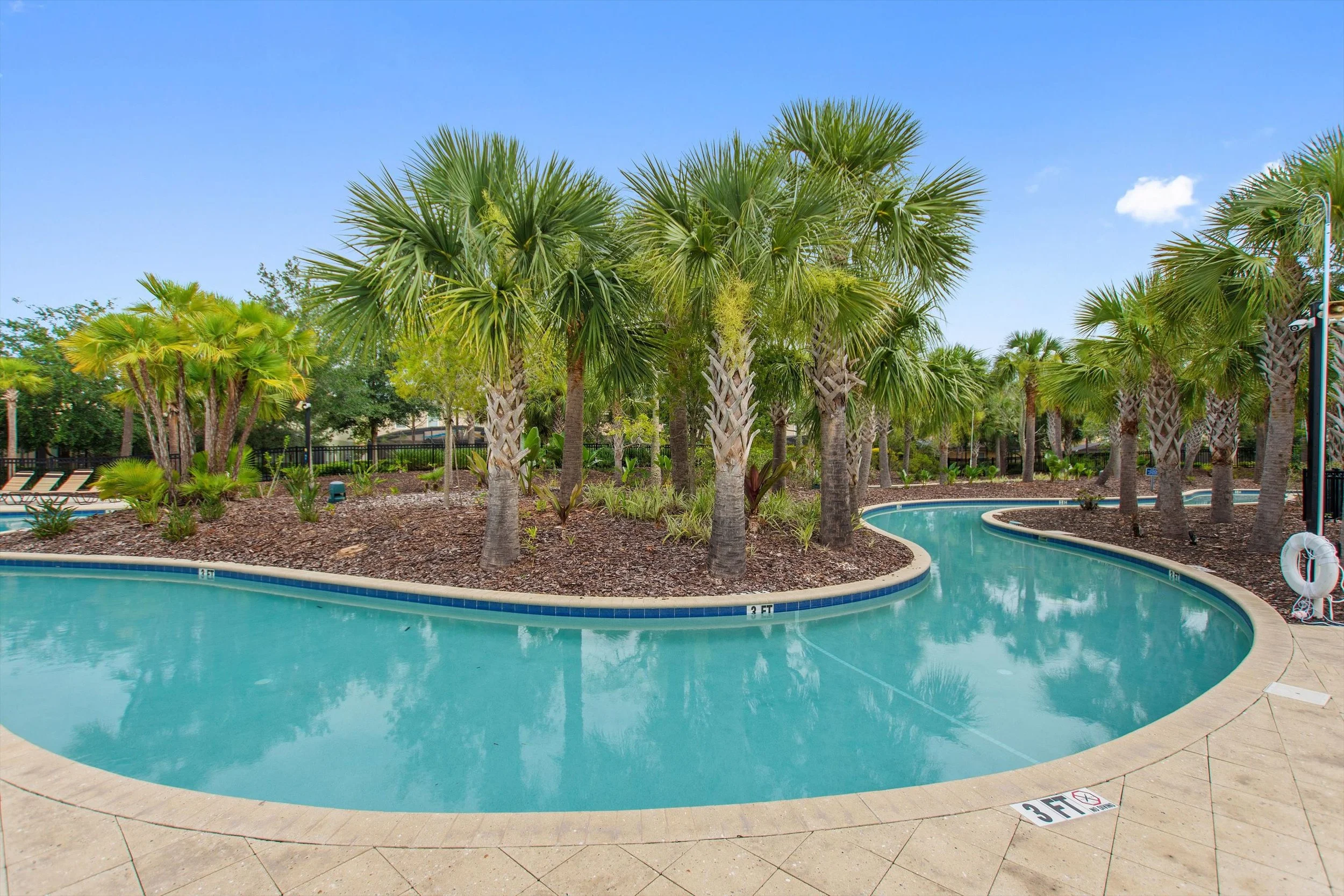 Curved swimming pool surrounded by palm trees and lush greenery in a tropical setting under a clear blue sky.