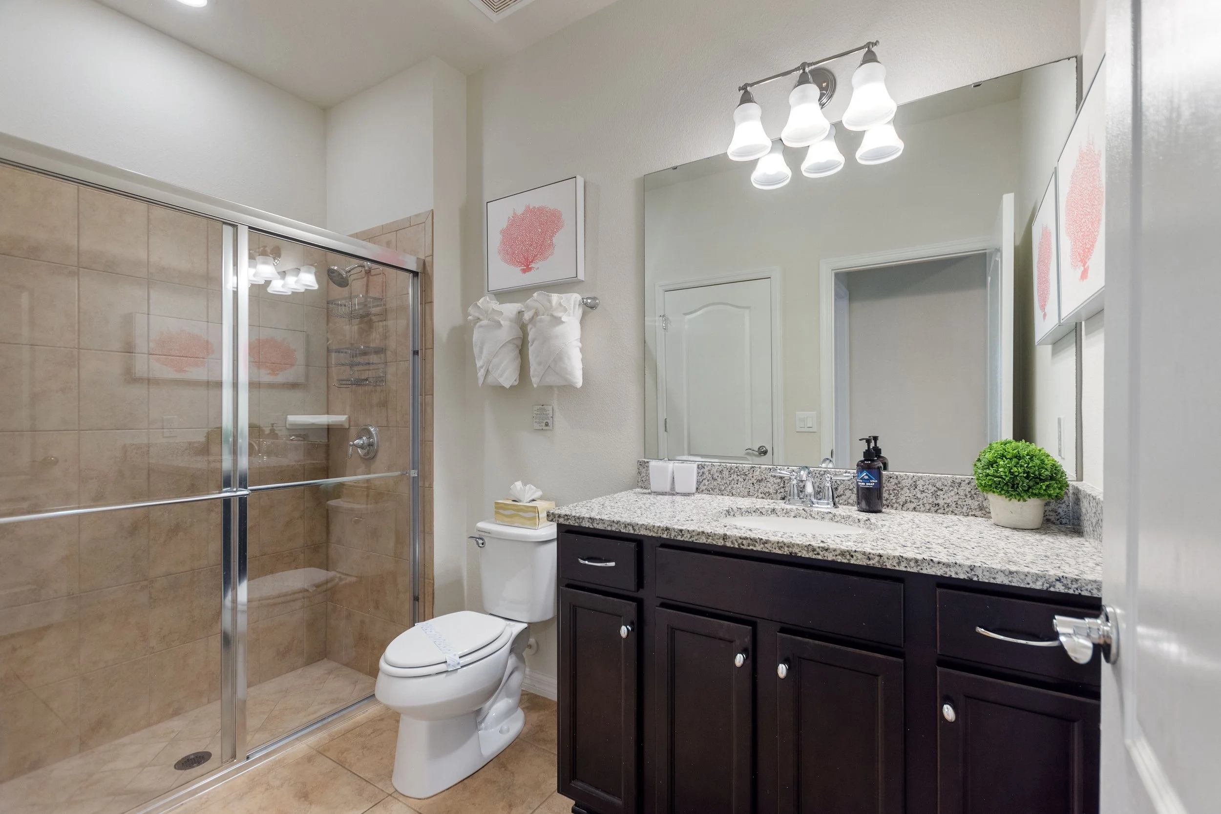 Bathroom with shower, toilet, sink, dark wood cabinets, large mirror, light fixtures, small plant, and wall art