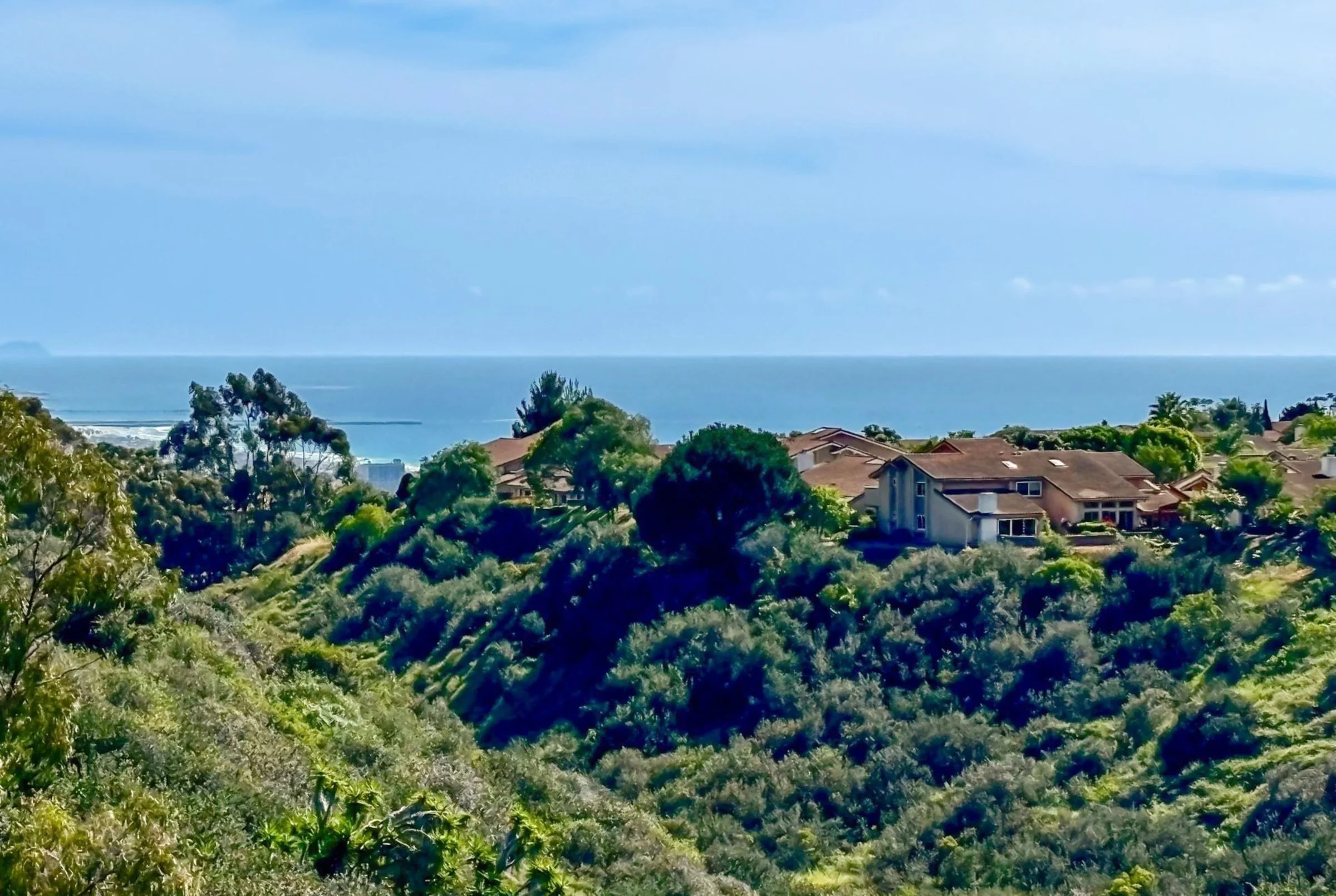 063_100_curb360_real_estate_photography_101-1.jpg