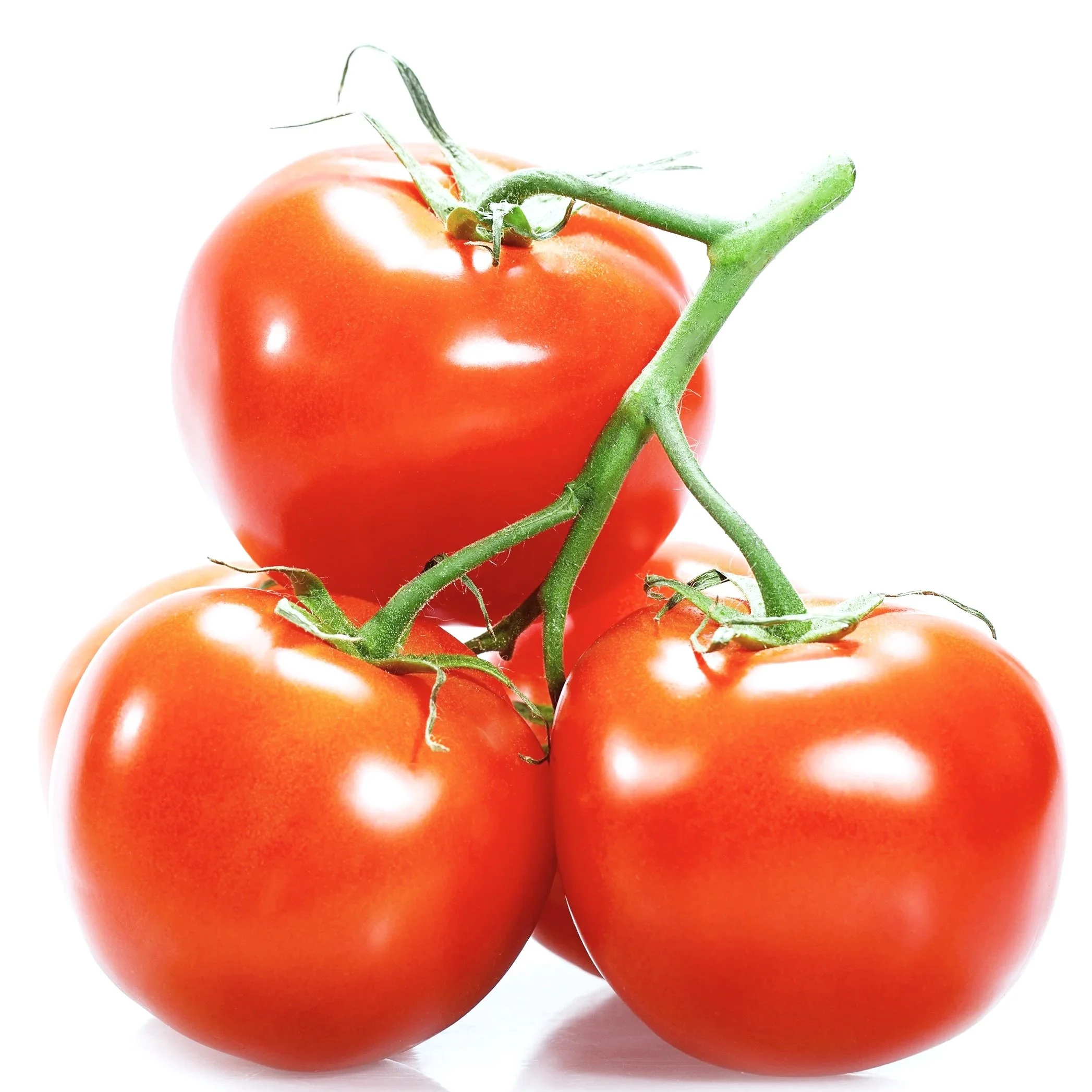 tomatoes.jpg