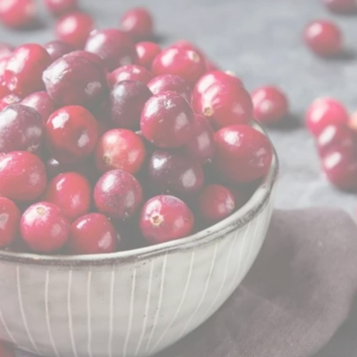 YA New Branding (1).png