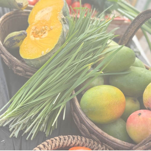 YA New Branding (5).png