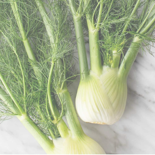 YA New Branding (3).png