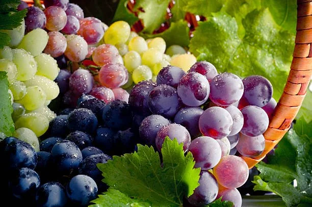grapes.jpg
