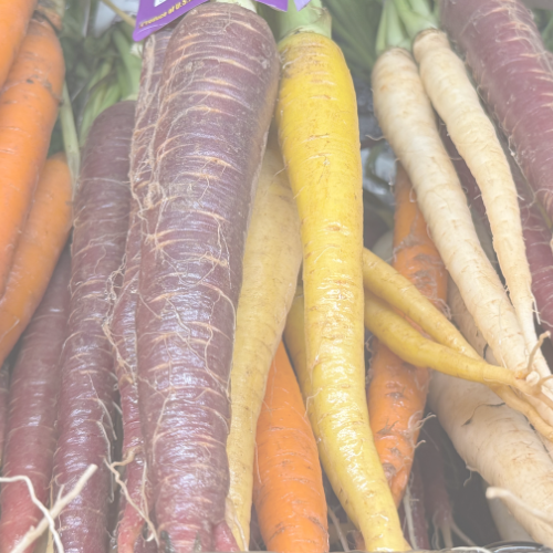 YA New Branding (4).png