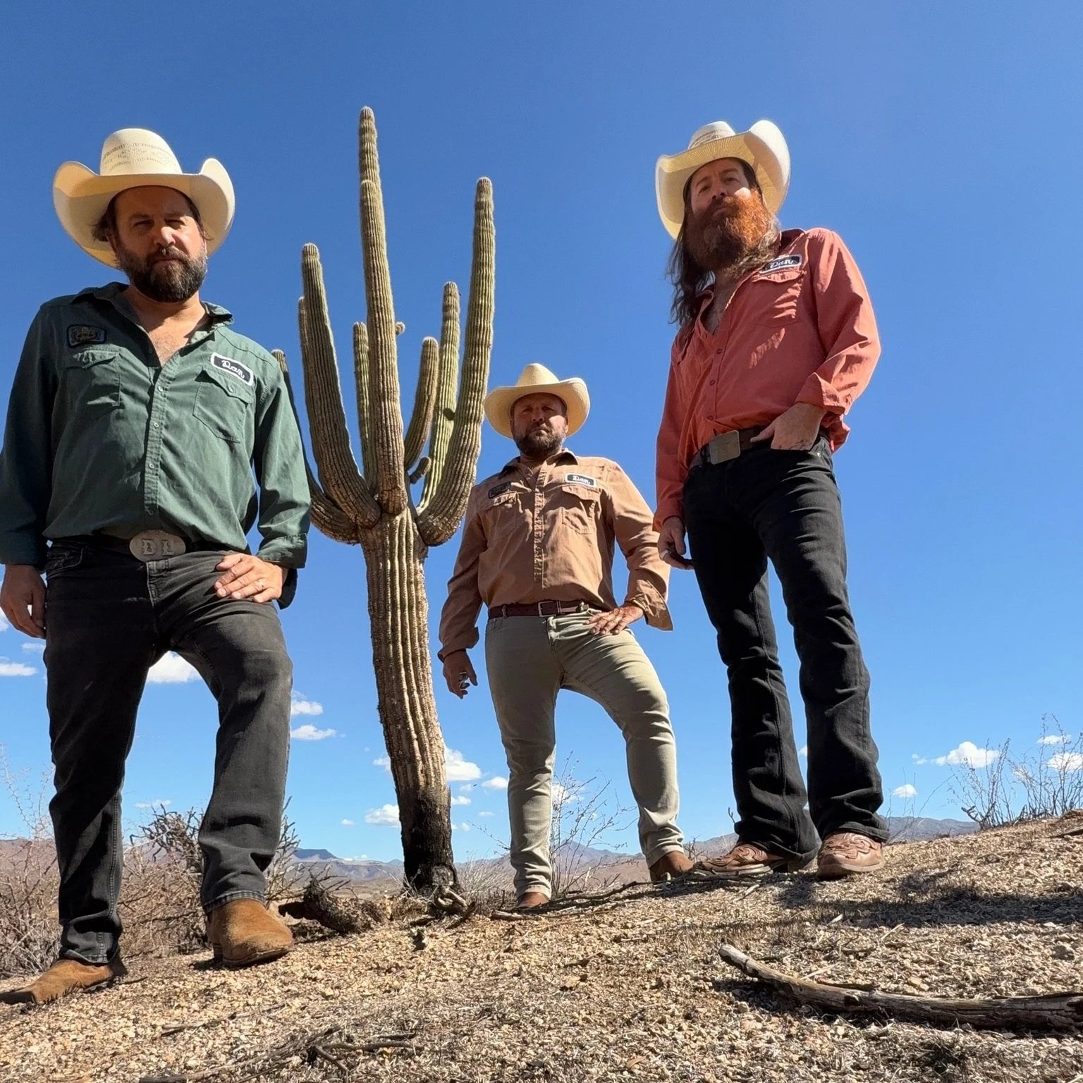 Saguaro, photo by David Pomerleau