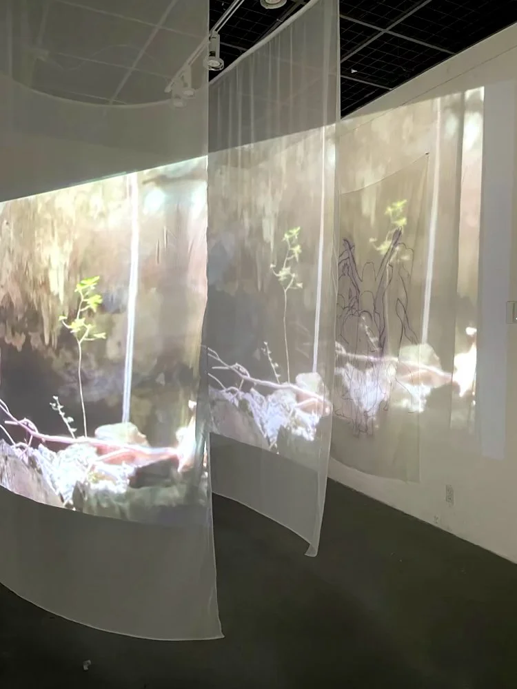 Multiple transparent screens displaying nature images of plants and rocks, set up in an art installation or exhibition space.