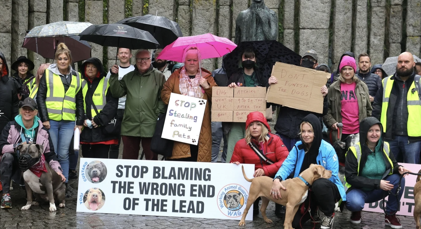Group of protesters holding signs and umbrellas, including dogs in leashes, at a rally against animal cruelty.