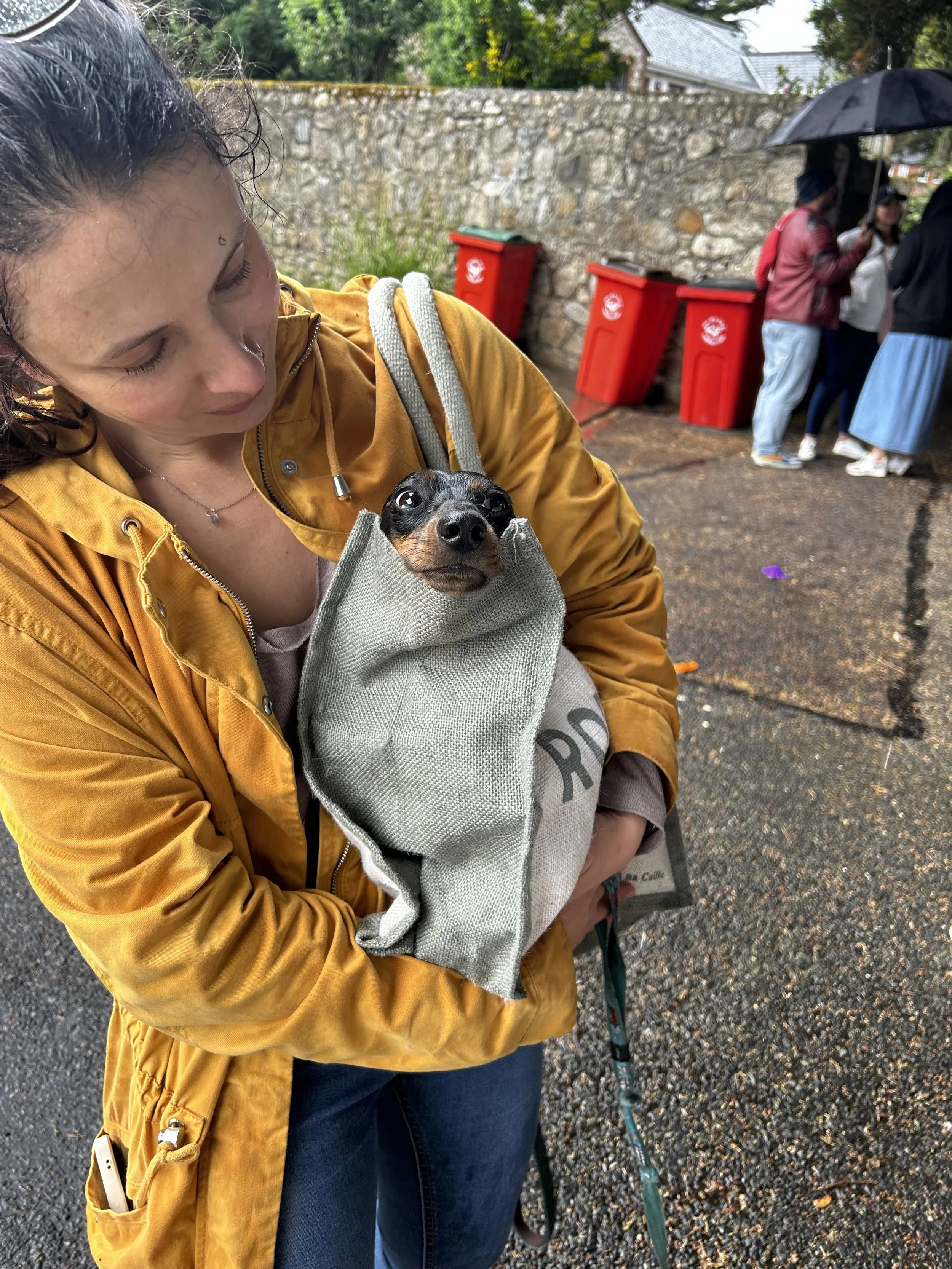 A woman wearing a yellow jacket holds a small dog in a gray bag. The dog’s head and face are visible, and it looks directly at the camera. People with umbrellas and red trash bins are in the background on a wet street.