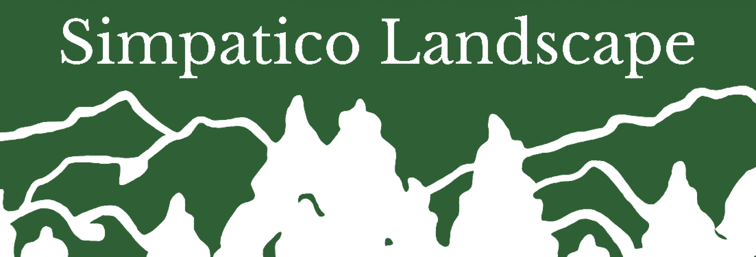 Simpatico Landscape