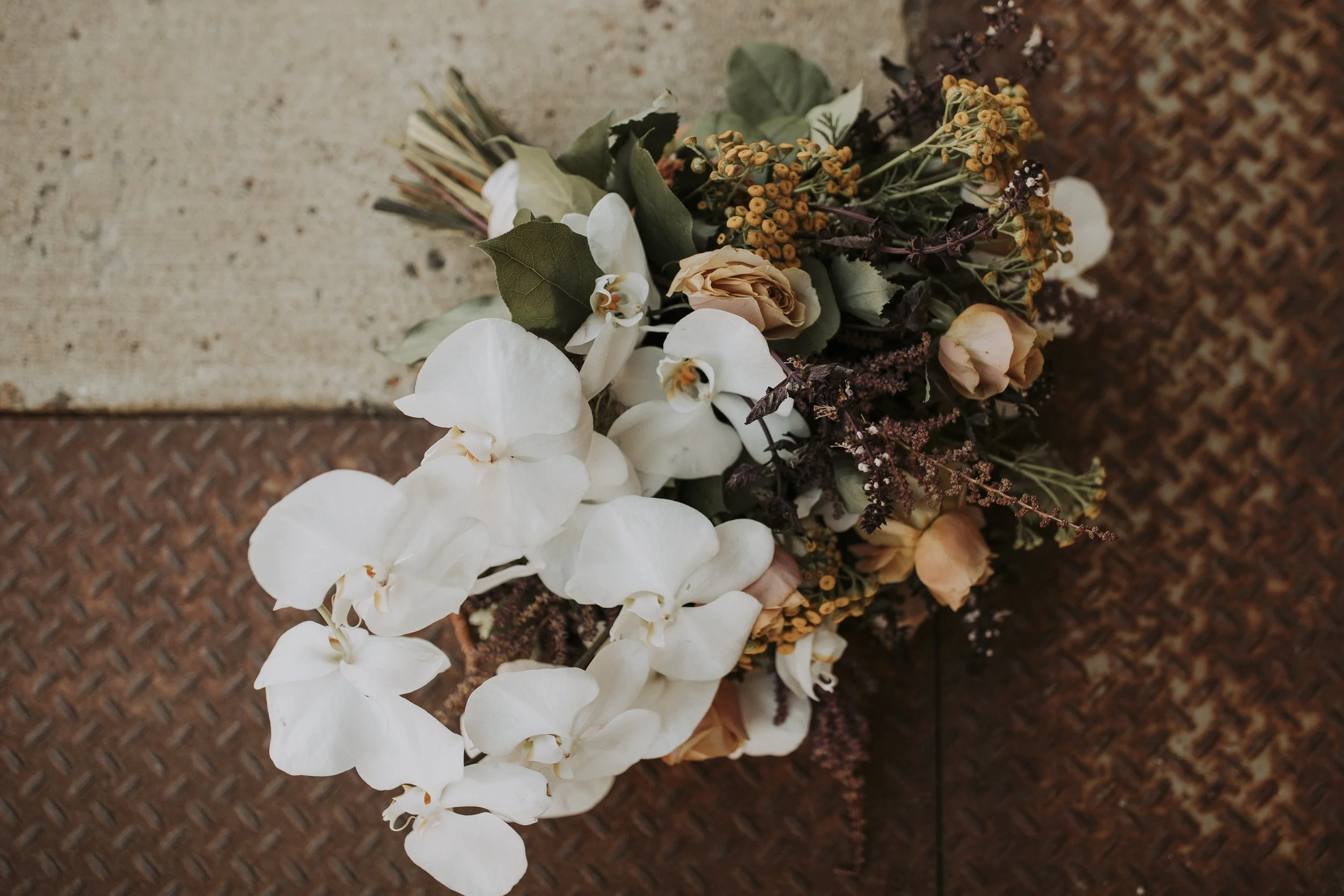 Lefor-Charley AE-405.jpg