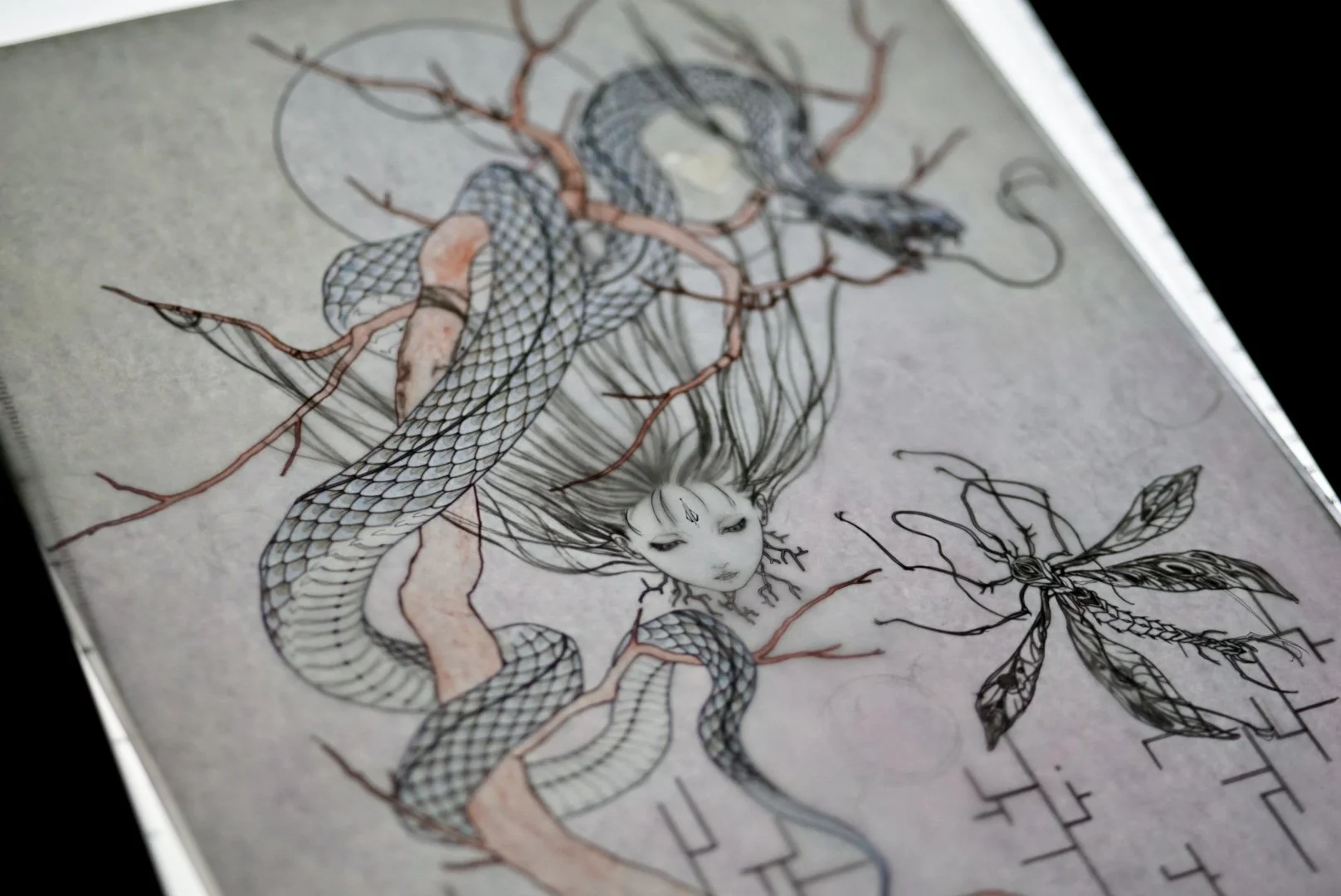 d r e a m w e a v e r