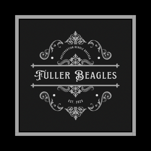 Fuller Beagles