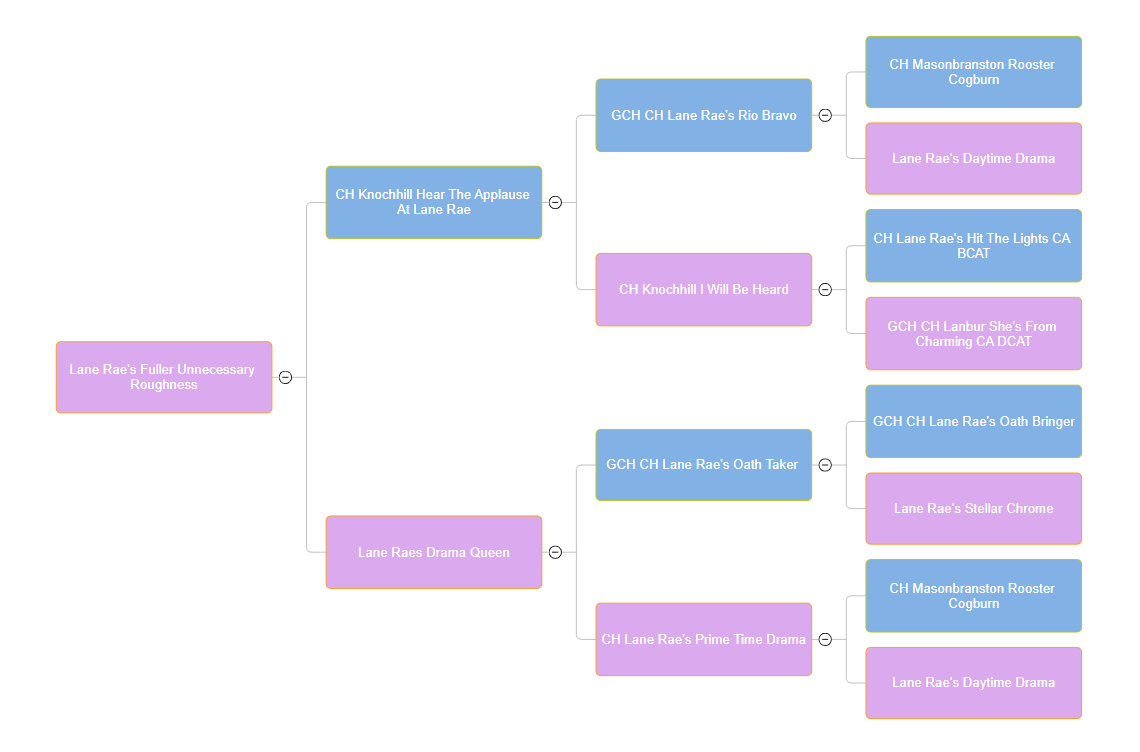 An AKC dog pedigree chart listing the lineage of Lane Rae's Fuller Unnecessary Roughness and Lane Rae's Drama Queen, including names, Championship titles, and breeding details.