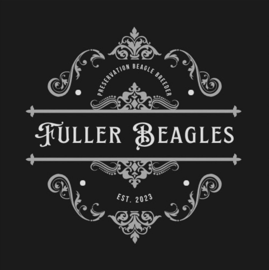 Fuller Beagles