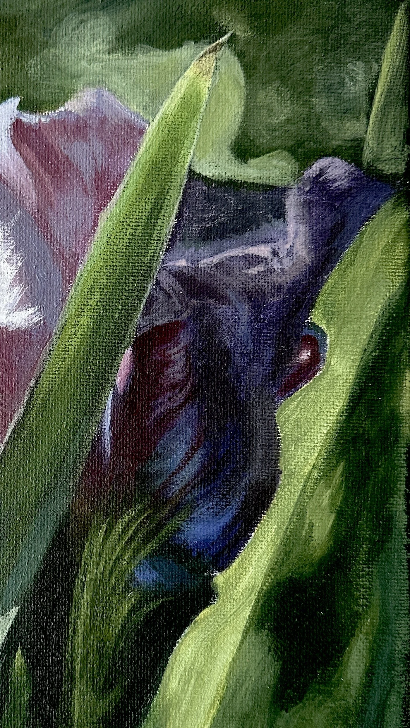 Untitled (2024), Acrylic on Canvas