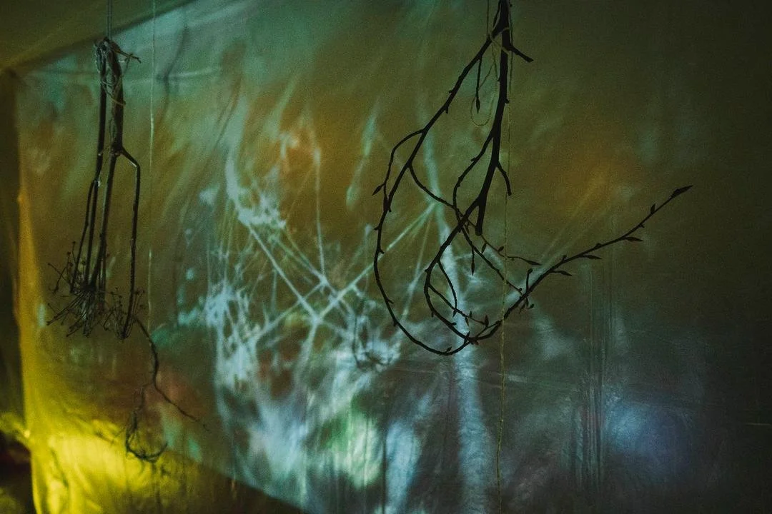 'Becoming MushRoom' installation at the Fitzwilliam Museum