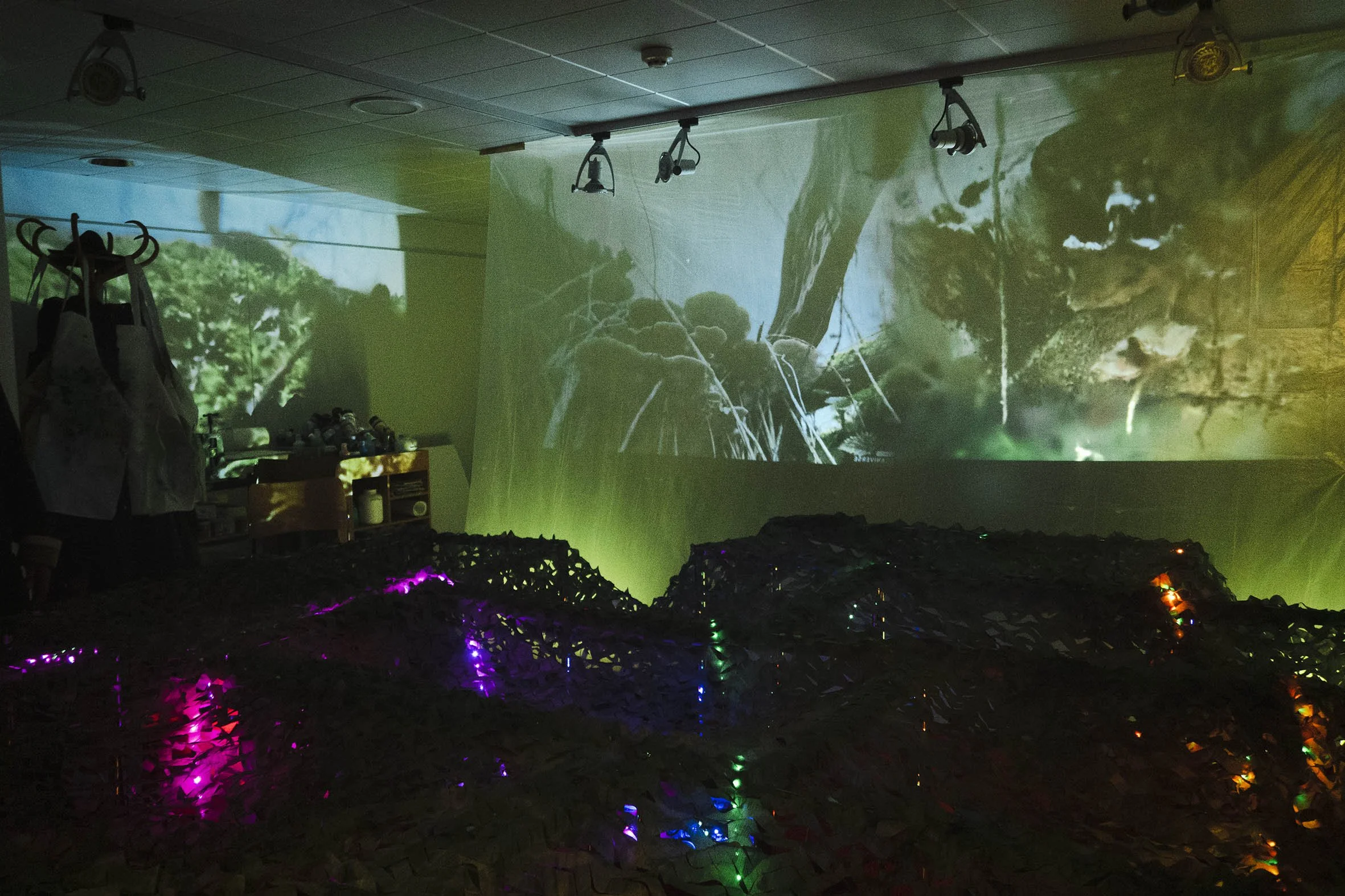 'Becoming MushRoom' installation at the Fitzwilliam Museum