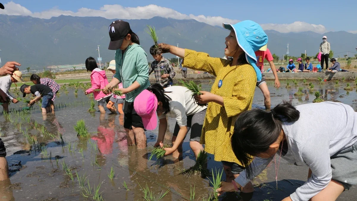 Seeking for an Educational Utopia in Dali, China 在大理，寻找教育的伊甸园