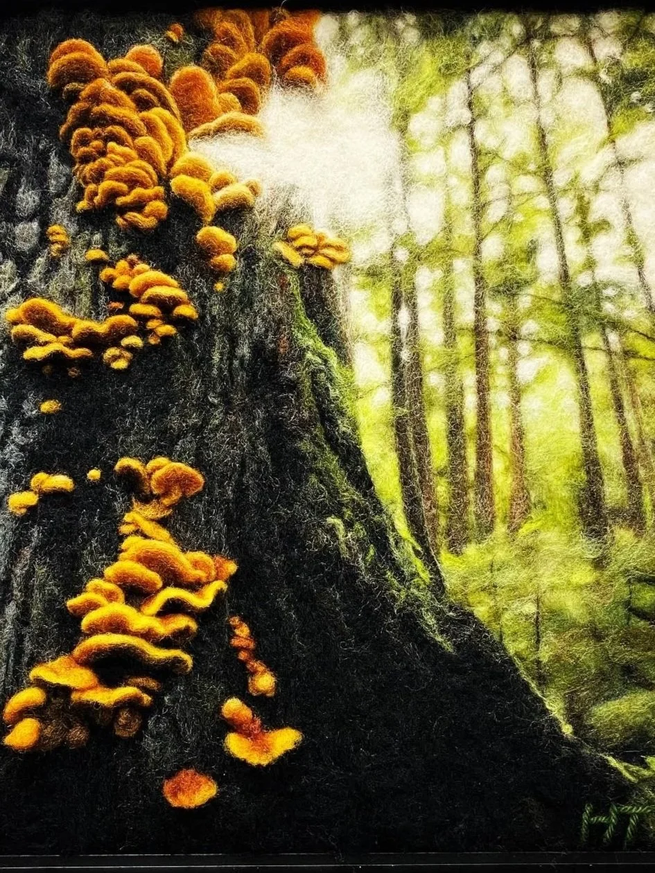Bright orange and yellow fungi growing on a dark, moss-covered tree trunk in a green forest.