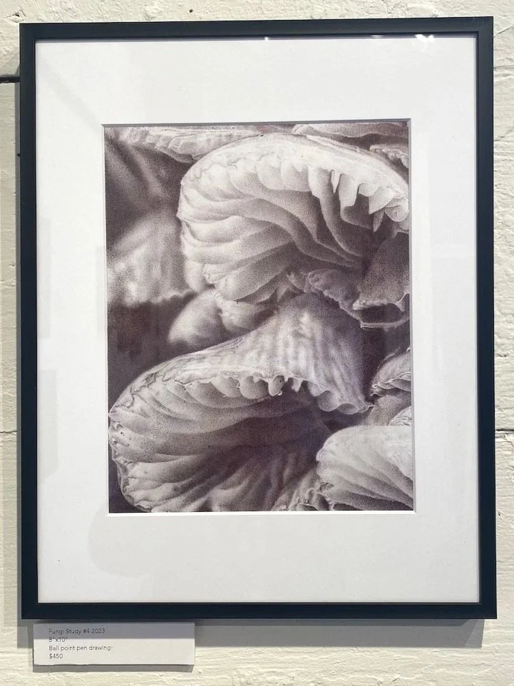  Ball point pen drawing of fungi.