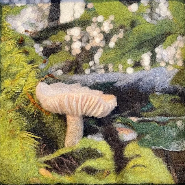 A small white mushroom growing among green moss and foliage in a forest scene.