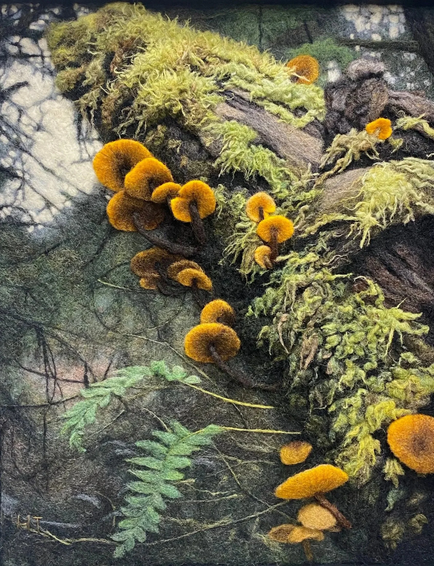 Several orange-brown mushrooms growing on a moss-covered forest floor with fern leaves nearby.