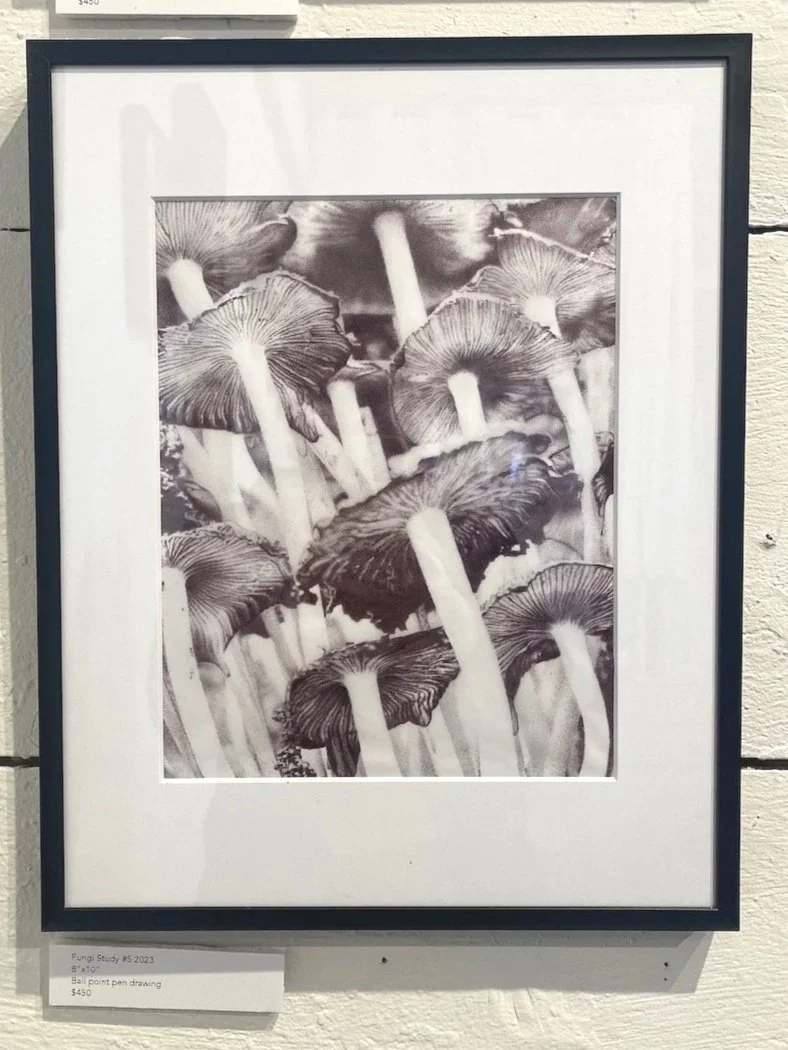 Black and white photograph of multiple mushrooms with textured caps and long stems.