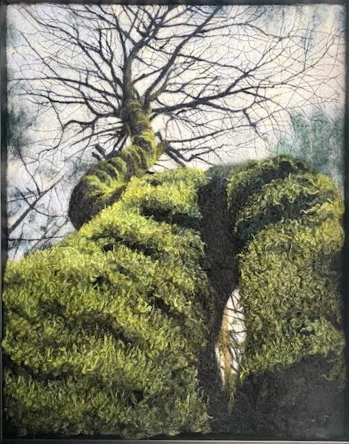 Close-up view of a moss-covered tree trunk and branches reaching upward, with some leafless branches in the background.