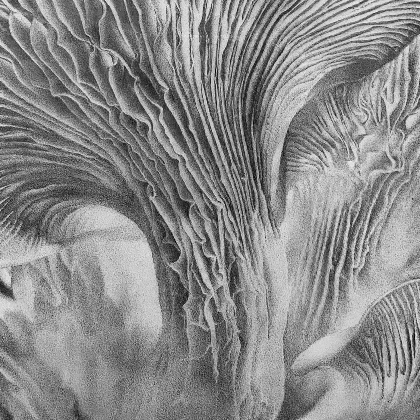 Close-up of layered, textured rocks with intricate patterns and striations.