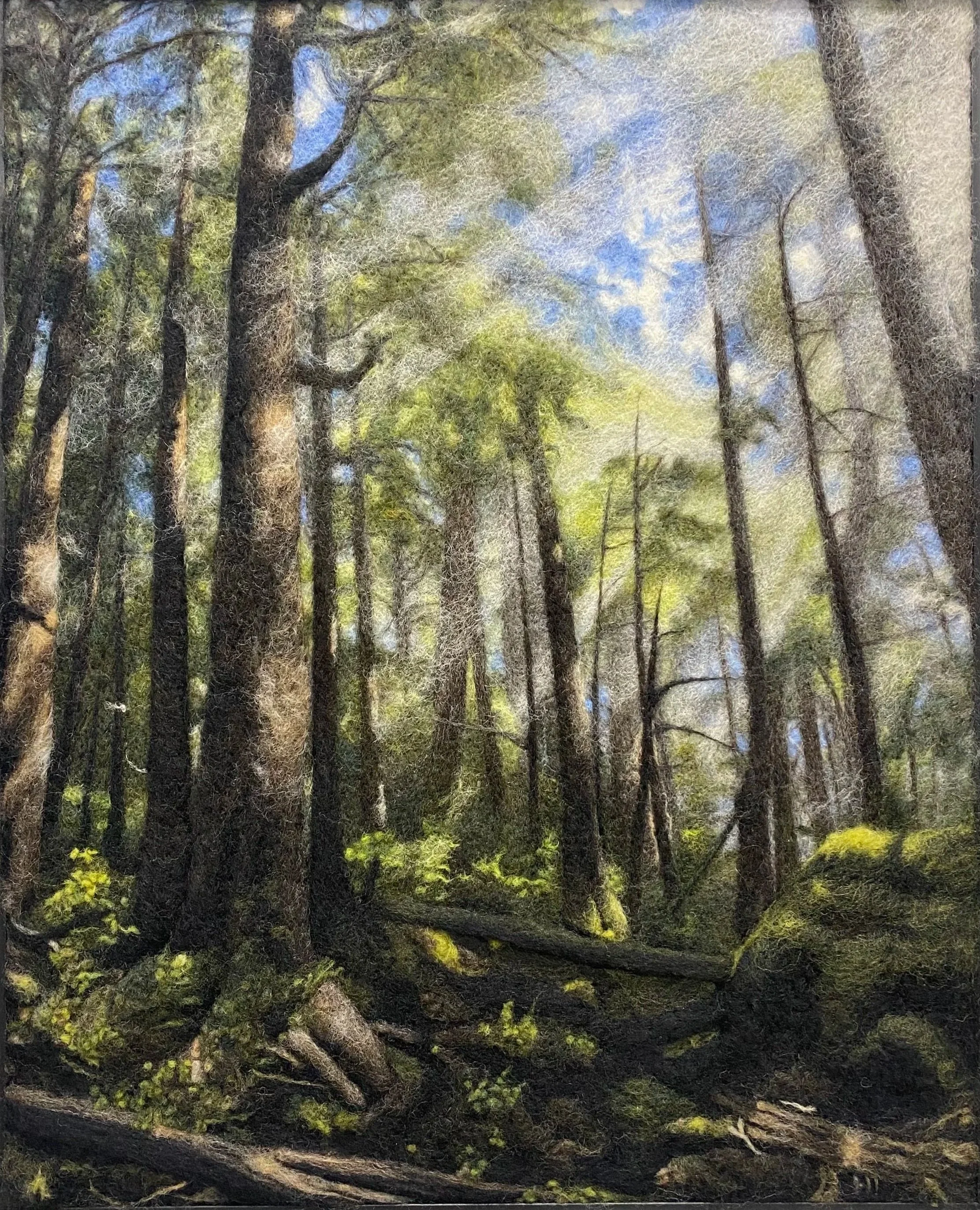 A dense forest with tall trees, green foliage, fallen logs, and a blue sky with clouds.