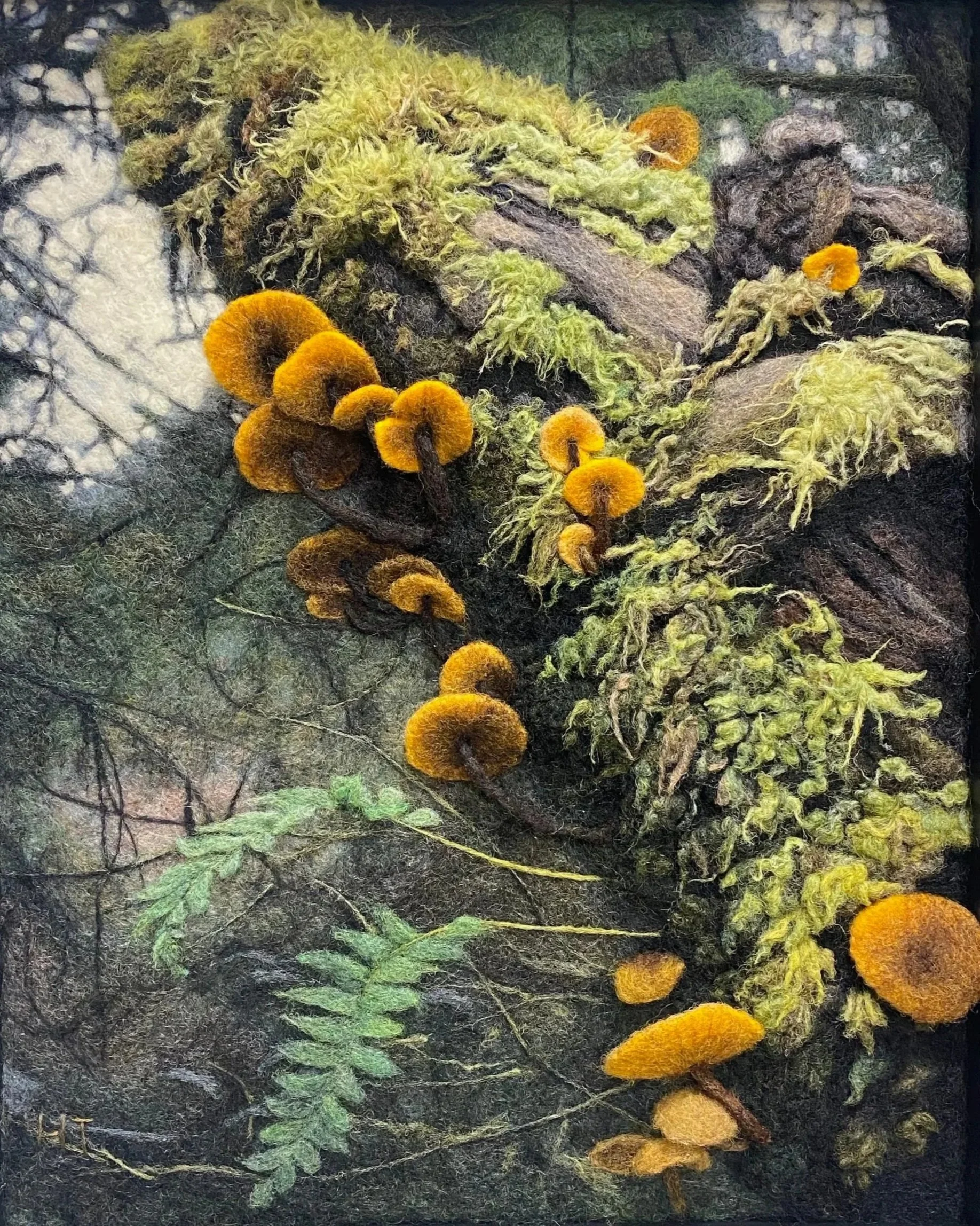 Close-up of a collection of various mosses, fungi, and small plants in natural green, yellow, orange, and brown colors, growing on a dark textured surface.