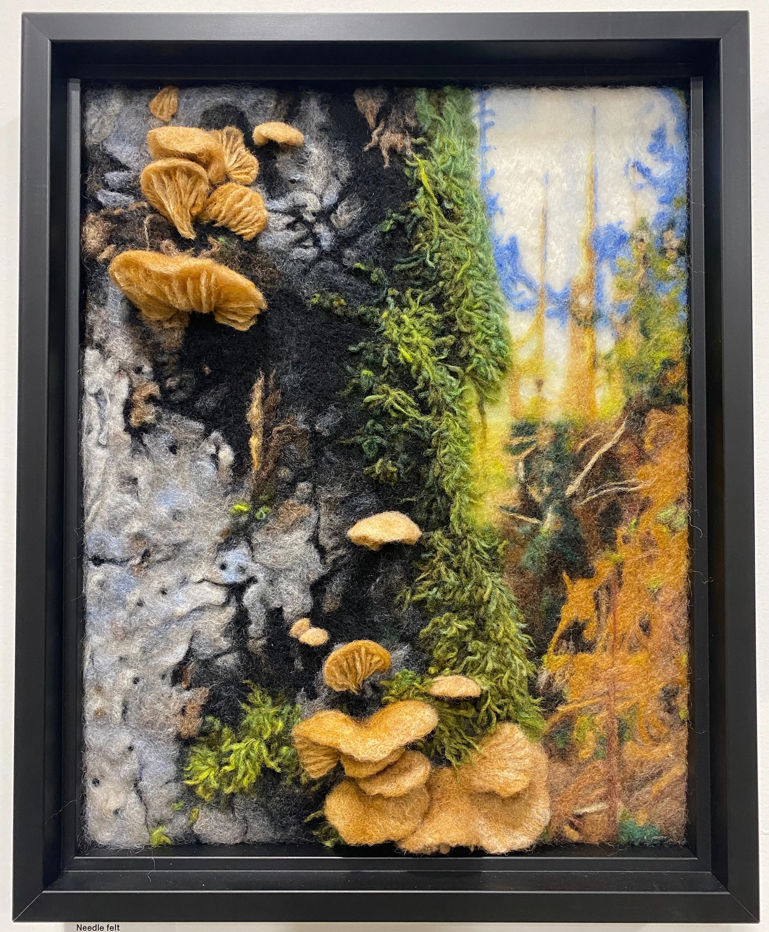 Mixed media artwork of a forest scene with needle-felled felted trees, moss, and mushrooms in a black frame.