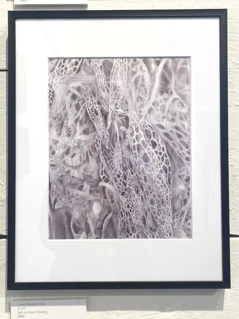 Black and white photograph of a delicate, patterned leaf or plant with intricate lattice-like structure, showing fine details and shading.