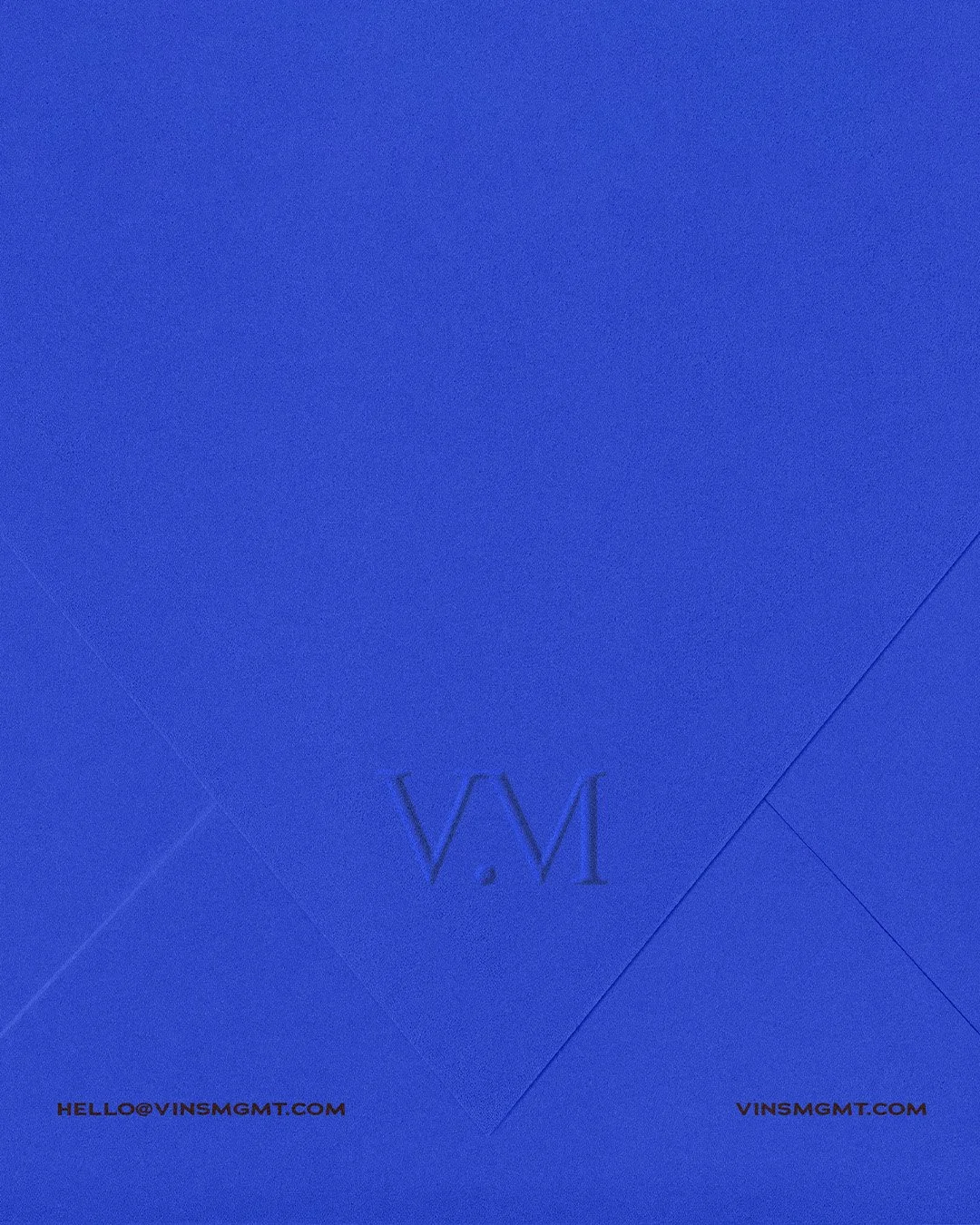 An Introduction to VINS