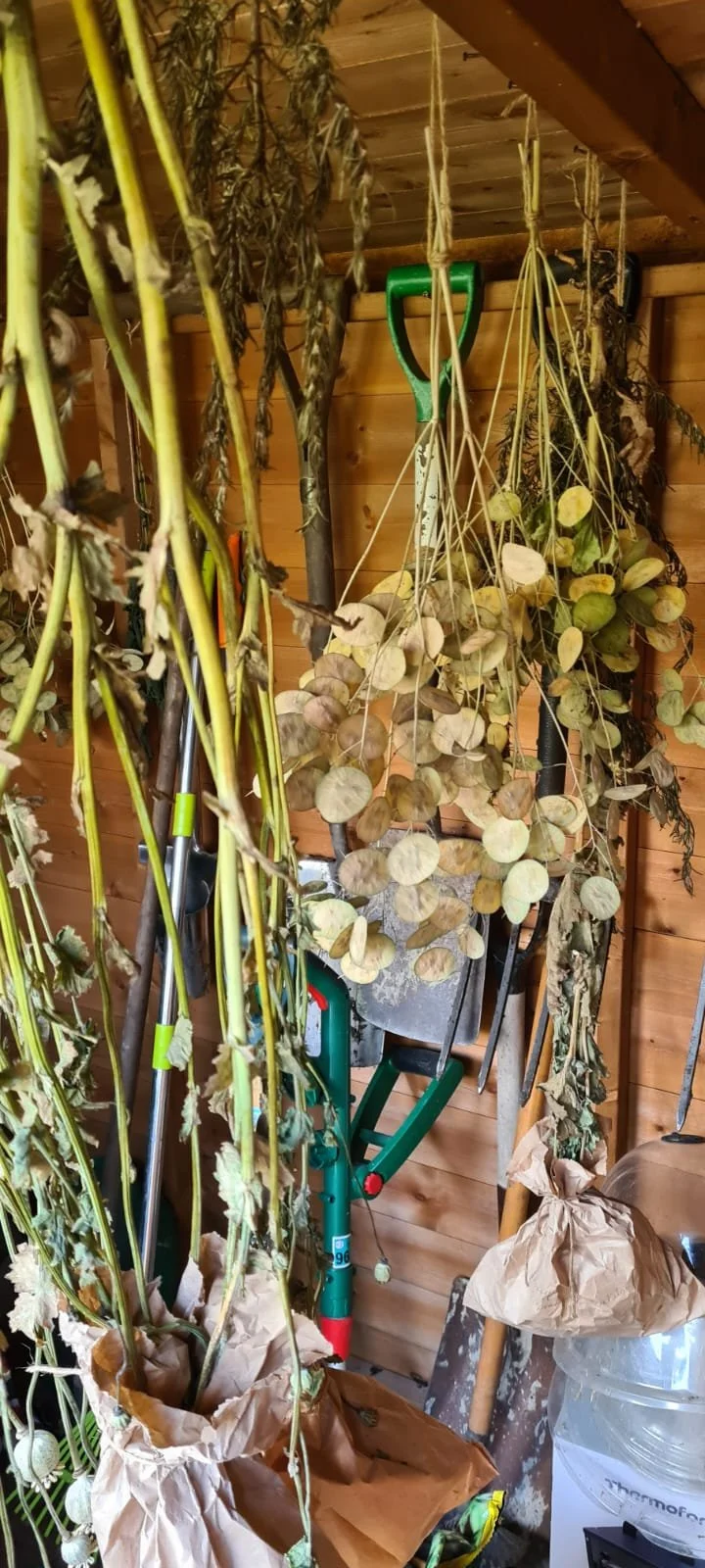 IMG-20240804-WA0008 (1).jpg