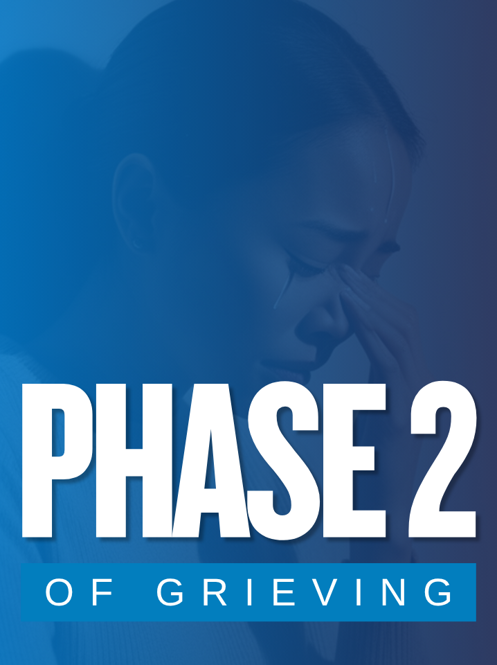 Phase2_w_intro.png