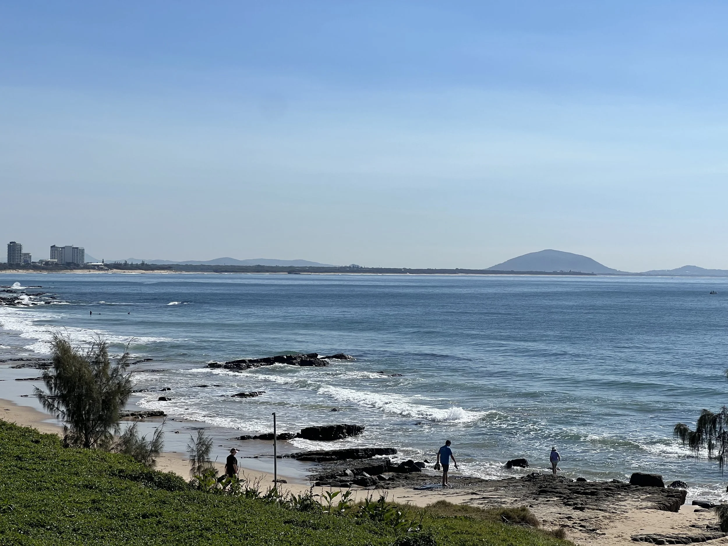 Rat Out, Nature, clean, safe, eco-friendly, Sunshine Coast, environment