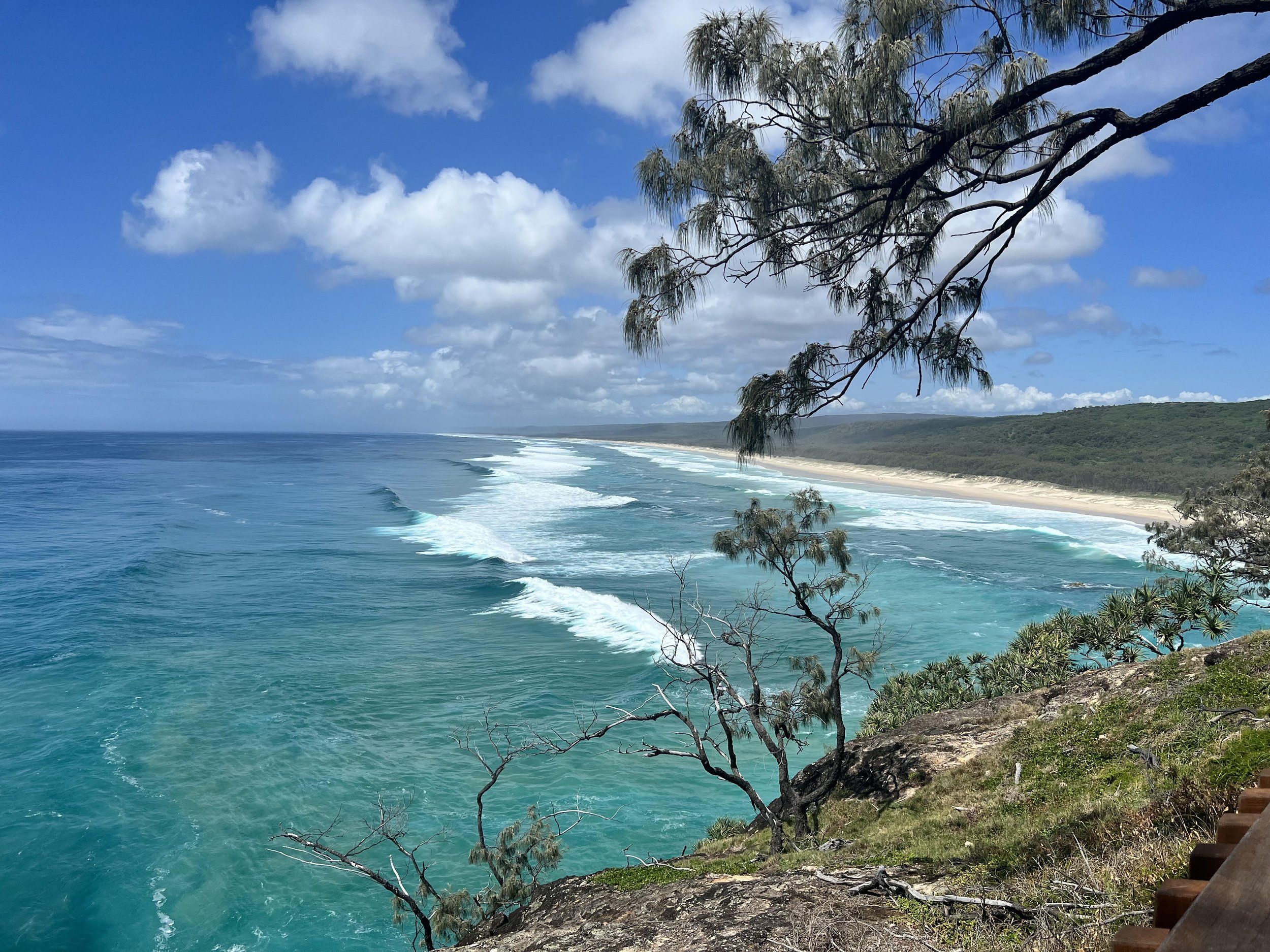 Natural environment, sustainability, eco-friendly