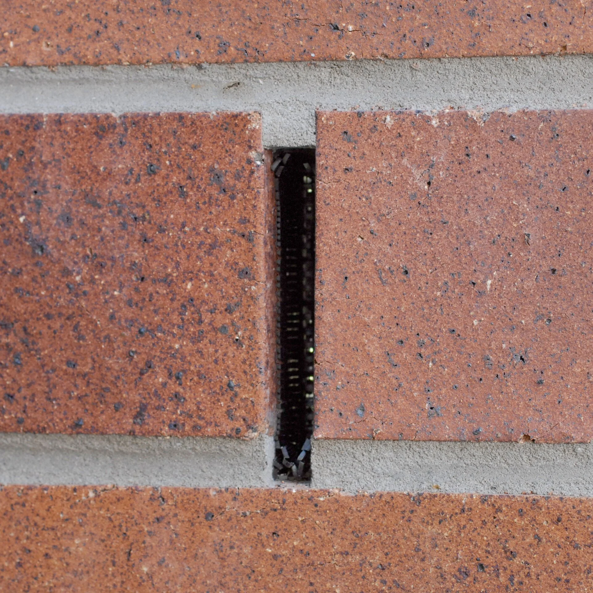 Weepa Termite Protector, termite weep hole screen, termite protection, bifenthrin screen, brick weep hole barrier, termite exclusion, pest barrier, Rat Out