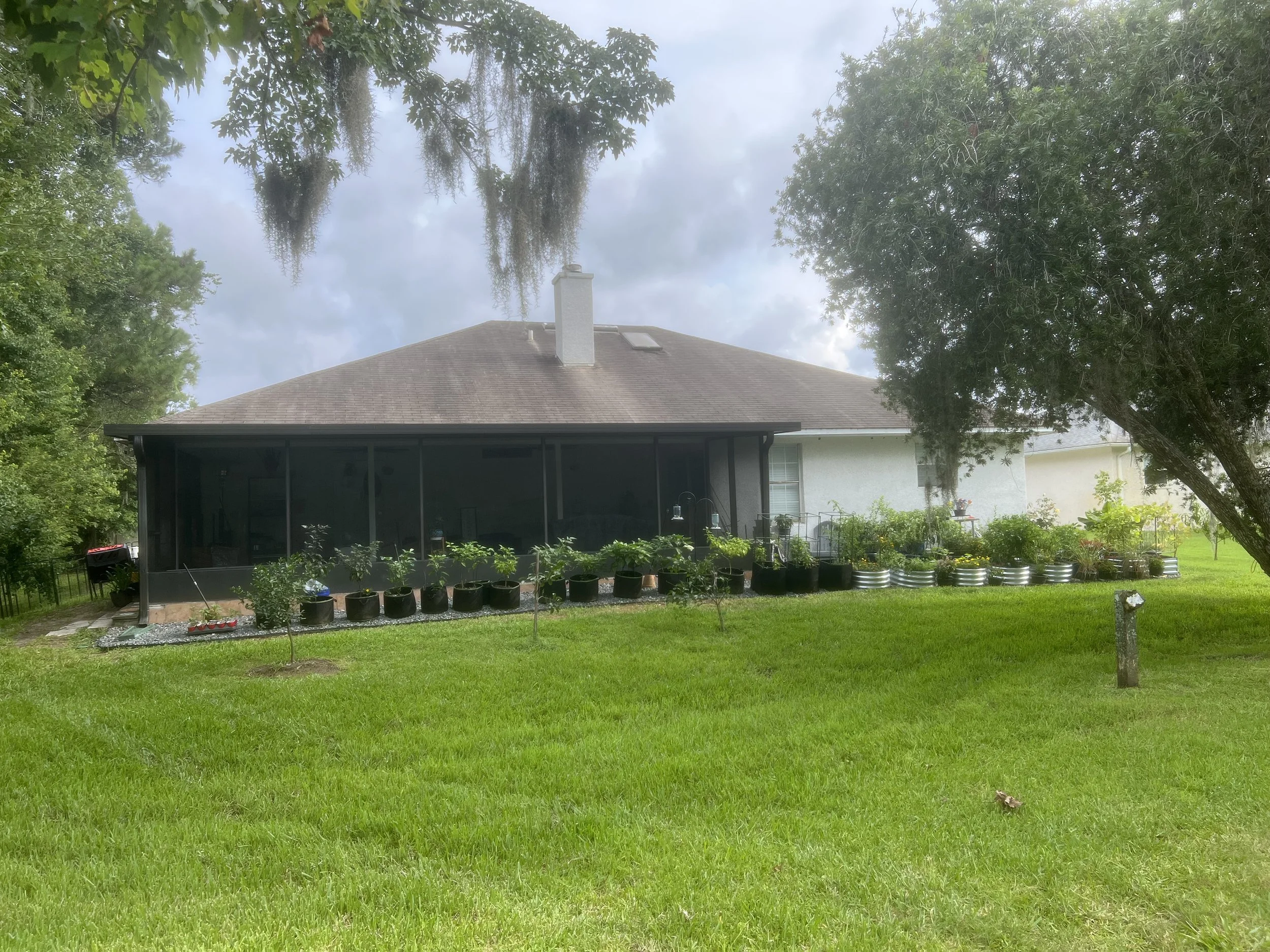 Backyard view of a house with a screened porch, surrounded by trees, with a well-maintained lawn and potted plants along the house's back wall.