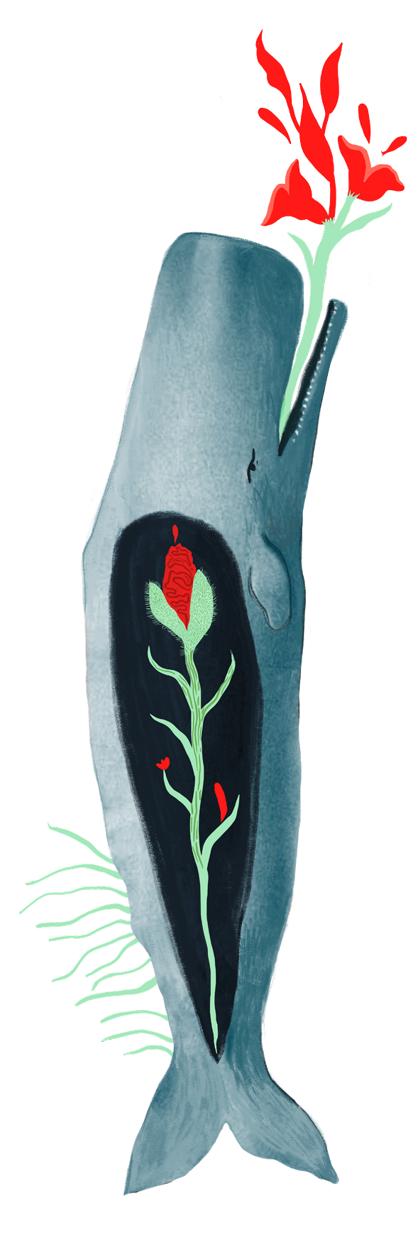 A fish with a black stripe running along its body and a red flower inside it