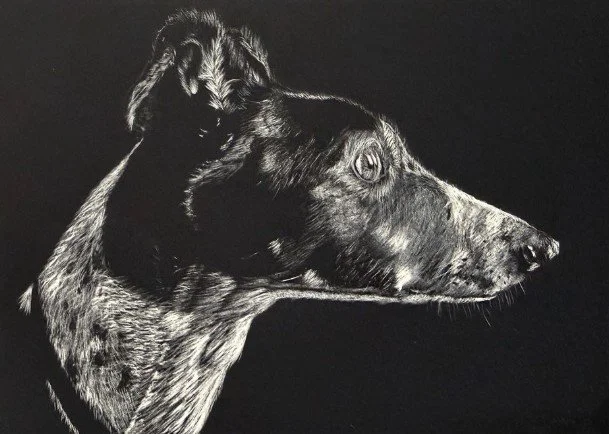 Intermediate Scratchboard - Portraits