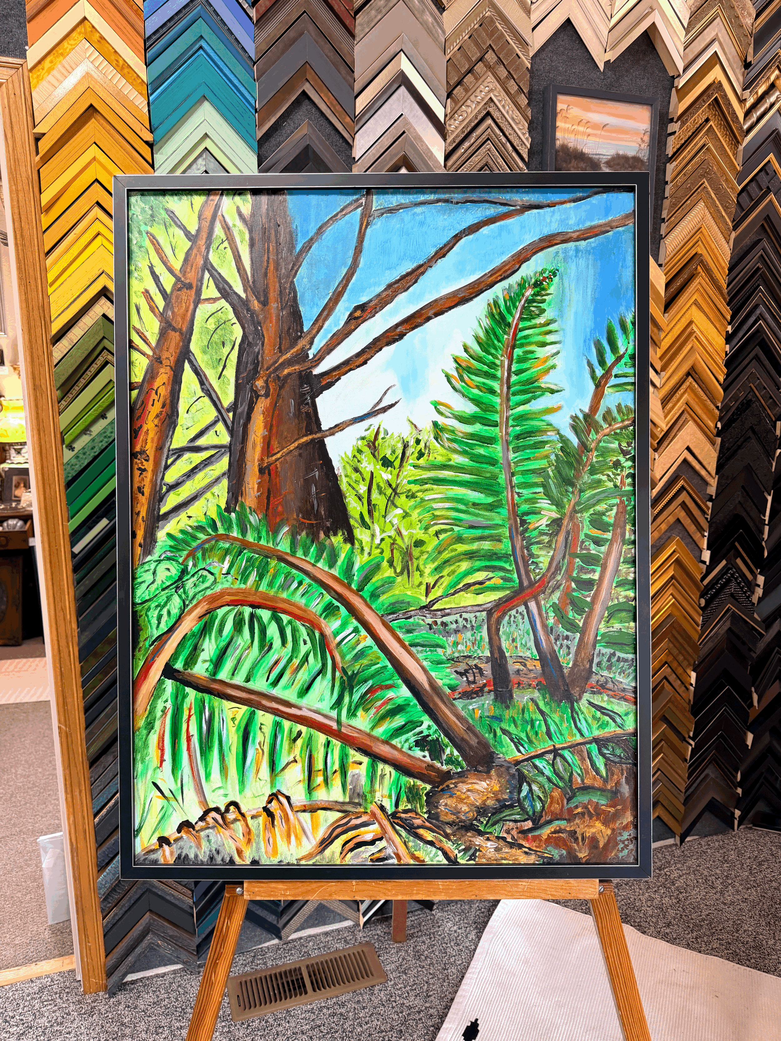 "Sword Ferns"
