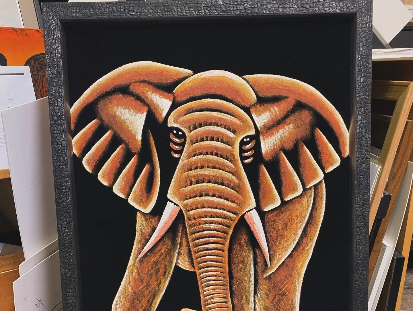 elephant.jpg