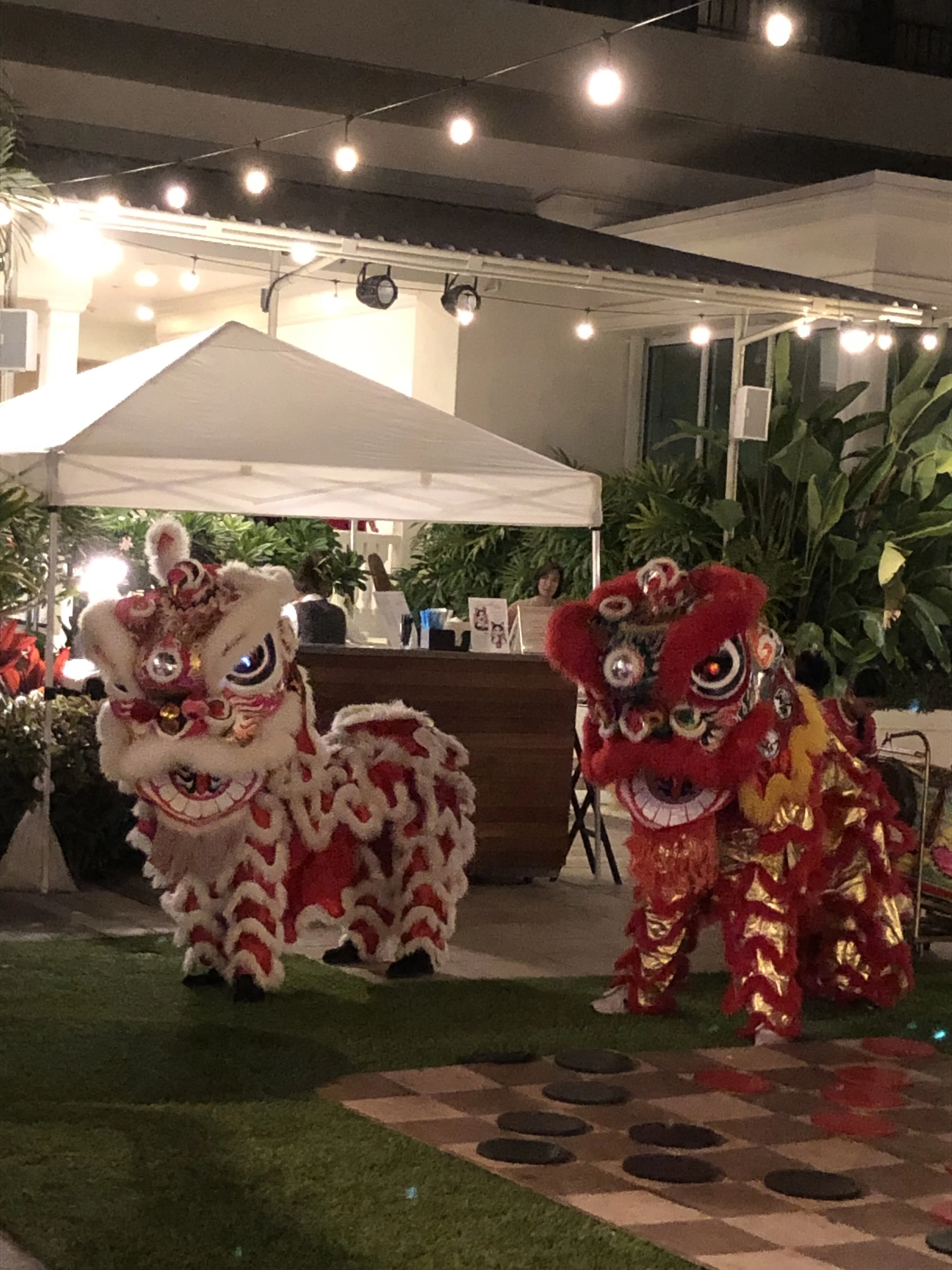 two chinese lion about to dance